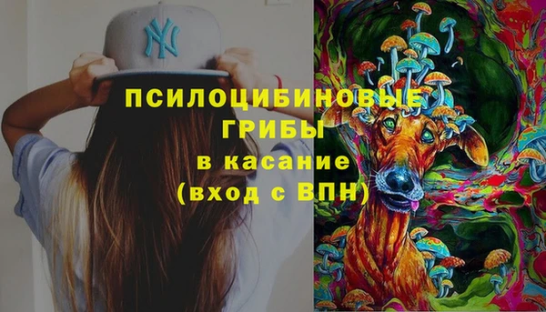 ГАЛЛЮЦИНОГЕННЫЕ ГРИБЫ Богородицк
