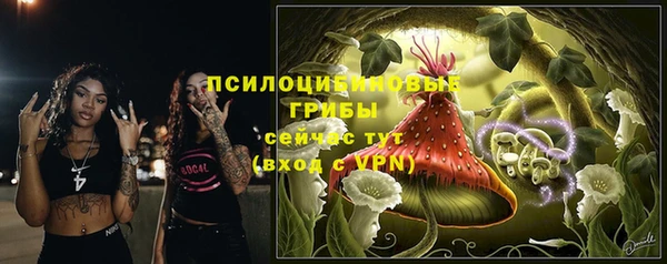 шишки Богородск