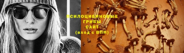 шишки Богородск